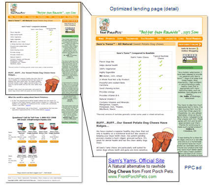Case Study 4: Optimized landing page