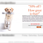 Original Product Offer Page (anonymized out of courtesy to Research Partner) Orignal product offer page
