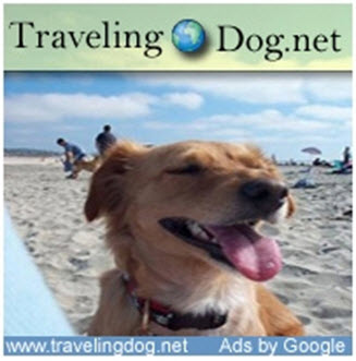 traveling dog
