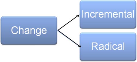 Change: Incremental, Radical